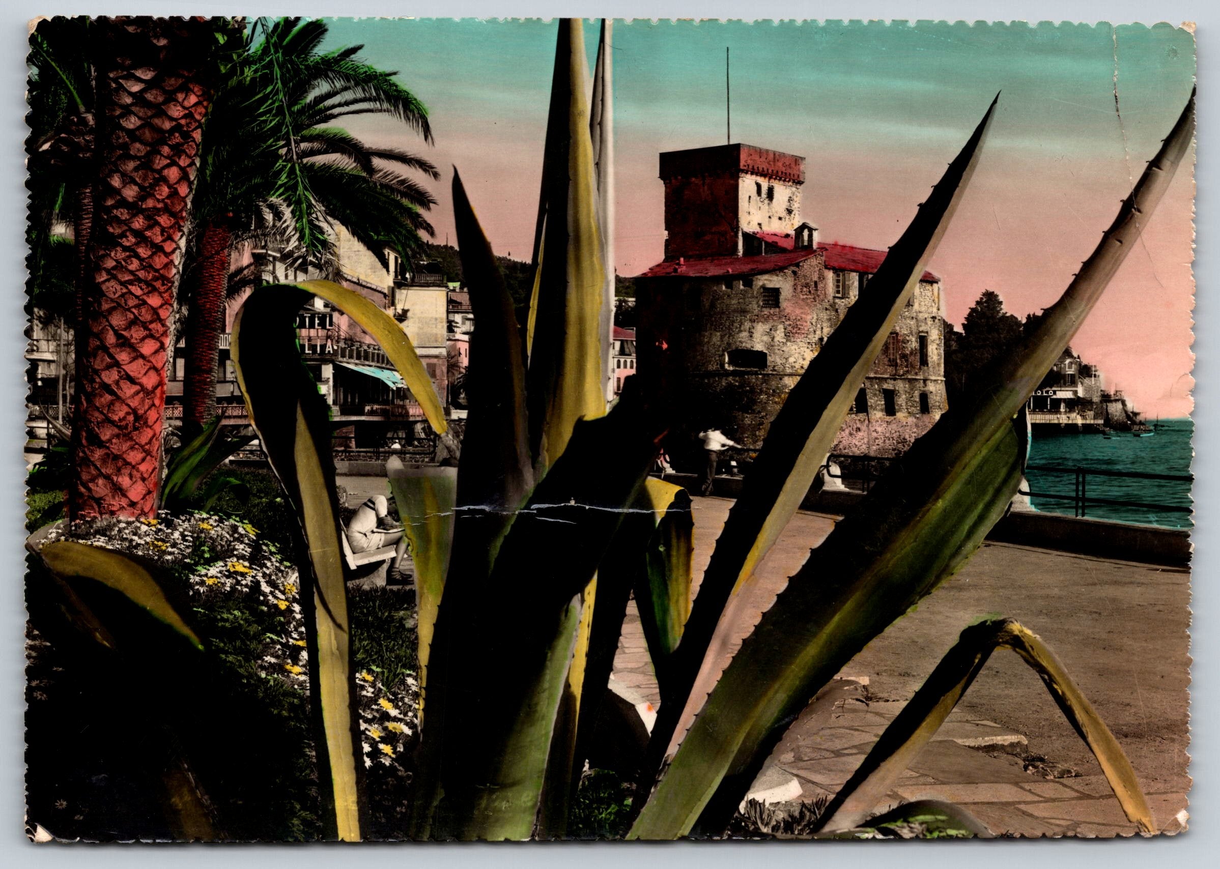 The Castle, Agaves And Palm Trees, Vintage Post Card