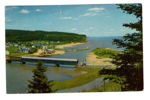 Alma, Entrance to Fundy National Park, Vintage Post Card.
