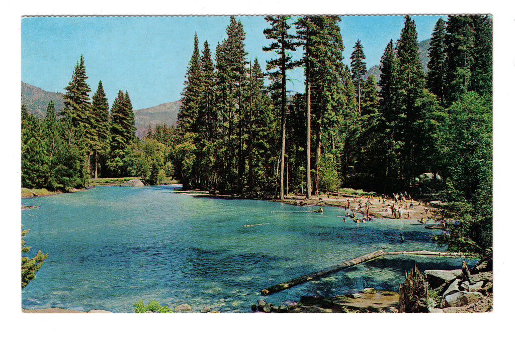 Kings Canyon, National Park, California, Vintage Post Card.