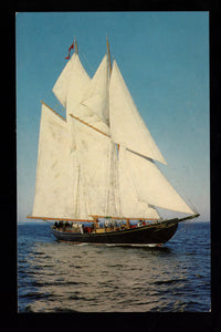 The Bluenose, Pride of Nova Scotia, Vintage Post Card
