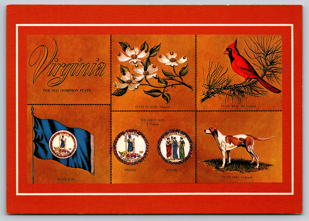Virginia, Old Dominion State, Vintage Post Card