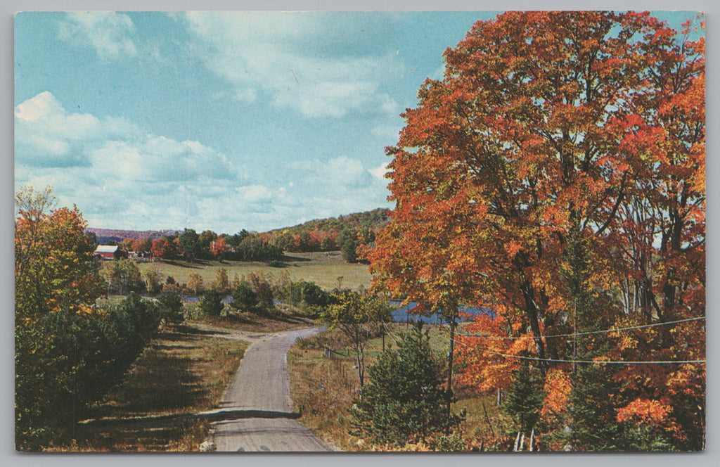 Highway 60, Algonquin, Ontario, Canada, Vintage Post Card.