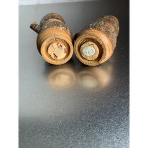 Vintage Wood Lantern Salt & Pepper Shakers Souvenir Wisconsin Dells