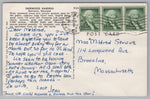Sherwood Gardens, Baltimore, Maryland, USA, Vintage Post Card.