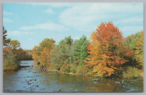 Scenic View Colorful Trees & Blue Lake, Vintage Post Card