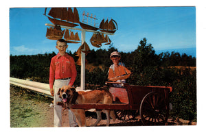 Gaspésian children with their dog cart selling Souvenir Boats, Québec Canada, Vintage Post Card