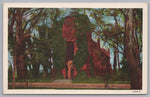 View Of The Church And Graveyard, Jamestown, Virginia, Vintage Post Card.