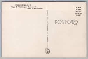 Washington Monument From A Distance, Washington DC, Vintage Post Card.