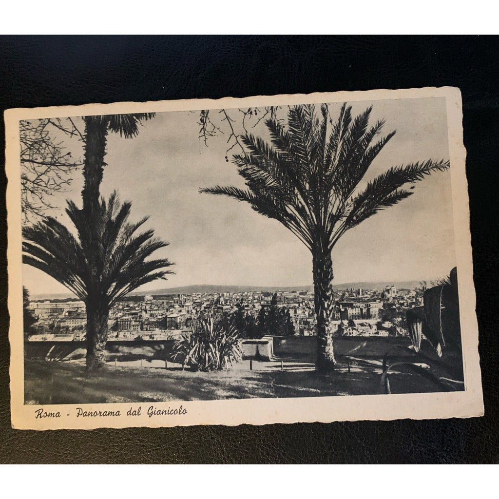 Italy Rome Panorama Dal Gianicolo Vintage Postcard Continental