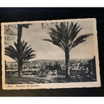 Italy Rome Panorama Dal Gianicolo Vintage Postcard Continental