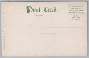 Executive Mansion, East Room, Washington DC, Vintage Post Card