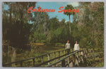 Corkscrew Swamp Sanctuary, Big Cypress Swamp, Vintage Post Card.