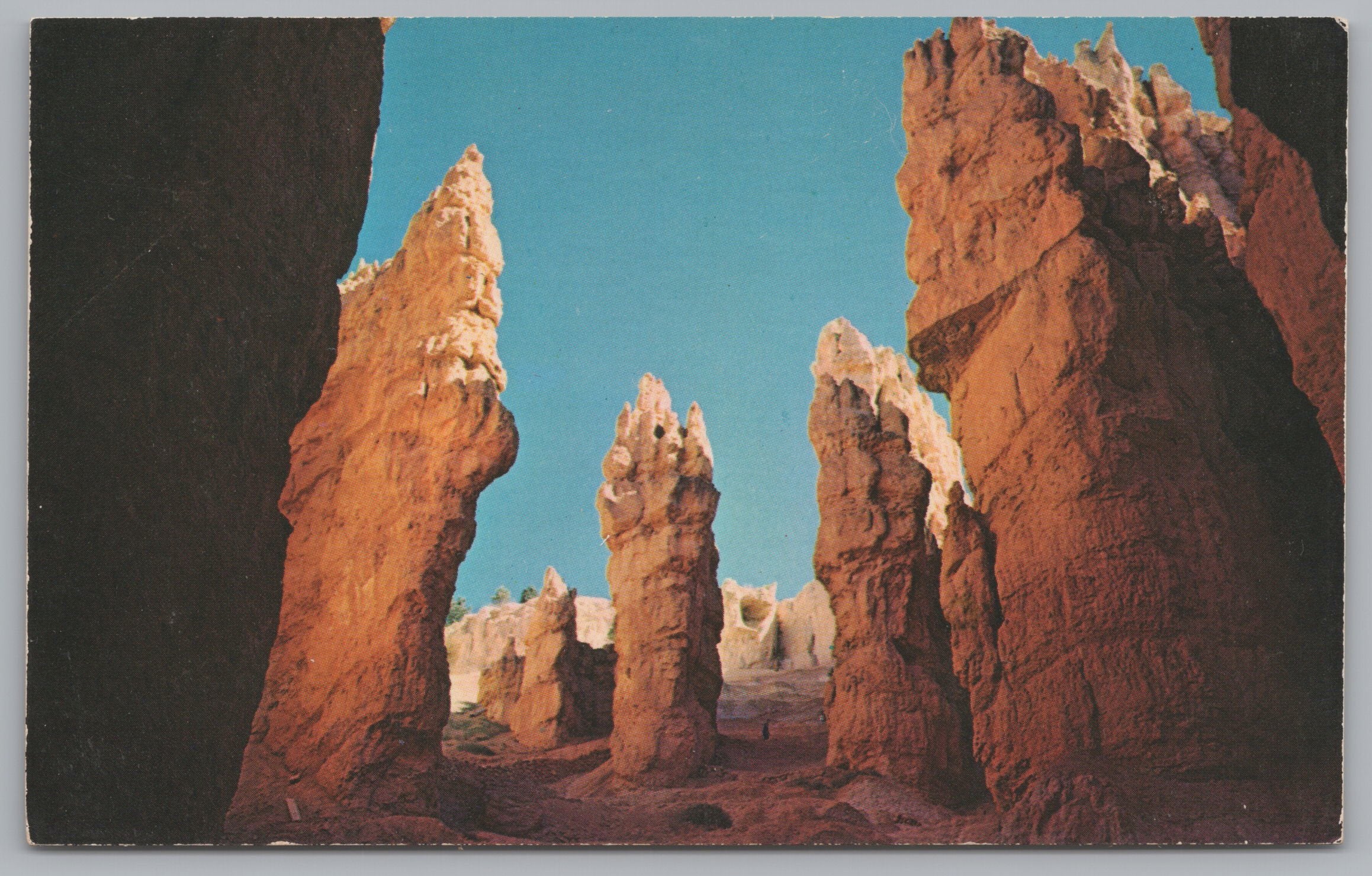Navajo Trail, Bryce Canyon National Park, Utah, Vintage Post Card.