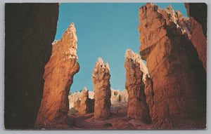 Navajo Trail, Bryce Canyon National Park, Utah, Vintage Post Card.
