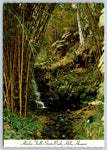 Akaka Falls State Park, Hilo, Hawaii, Vintage Post Card