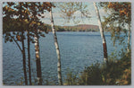 Among The Birches, Hub Of The Kawarthas, Bobcaygeon, Vintage Post Card.