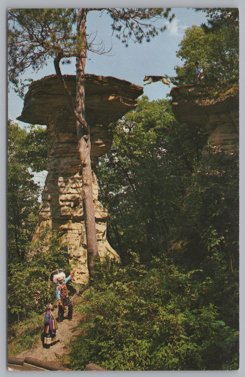 A Dog Leaping Over The Chasm At Stand Rock, Wisconsin Dells, Vintage Post Card.