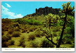 Desert Country, Colorado Desert, Vintage Post Card