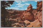 Saddle Horse Trail, Bryce Canyon National Park, Utah, Vintage Post Card.