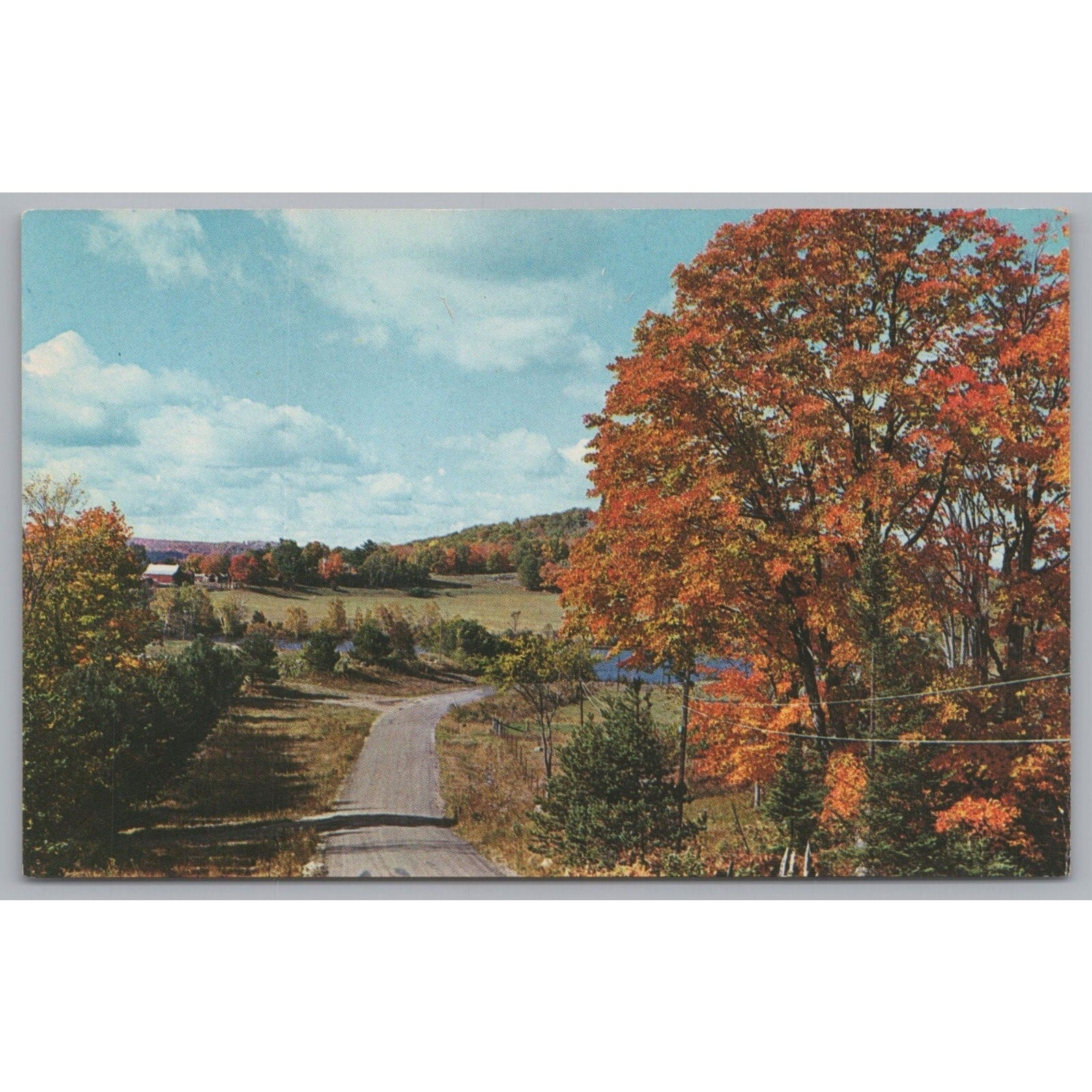 Highway 60, Algonquin, Ontario, Canada, Vintage Post Card.