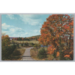 Highway 60, Algonquin, Ontario, Canada, Vintage Post Card.