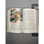 THE Story Of our Country Hardcover LN Row Peterson & Co 1956