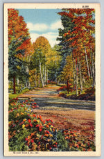 Connecticut Lake Shore Scene, USA, Vintage Post Card