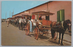 Nassau In The Bahamas, Old Carriages In Line For Sightseeing Tourists, VTG PC.