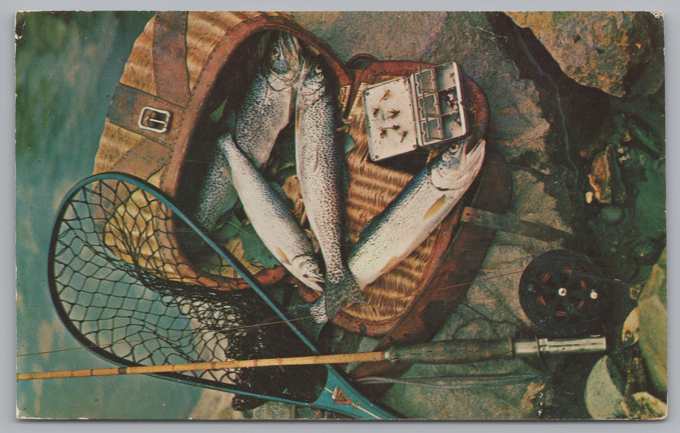 Fishing, Trout, Tackle Box, Fishing Gear, Vintage Post Card