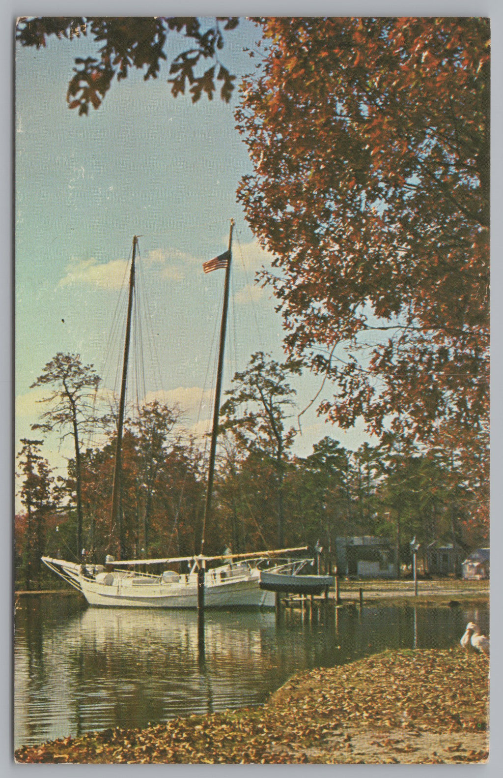 The Bugeye, Thomas M. Freeman, Smithville, New Jersey, USA, Vintage Post Card.