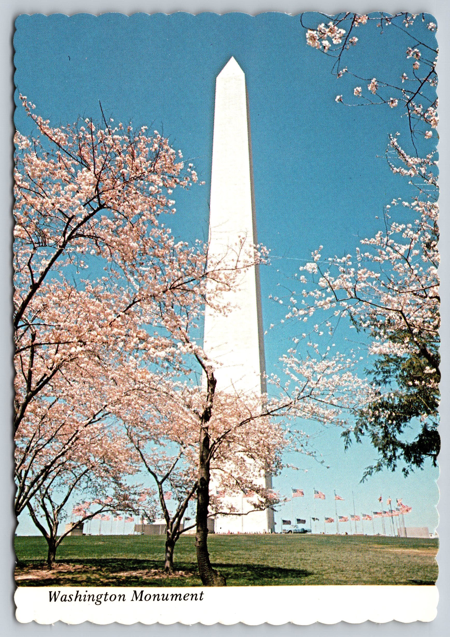 Washington Monument, Washington DC, Vintage Post Card