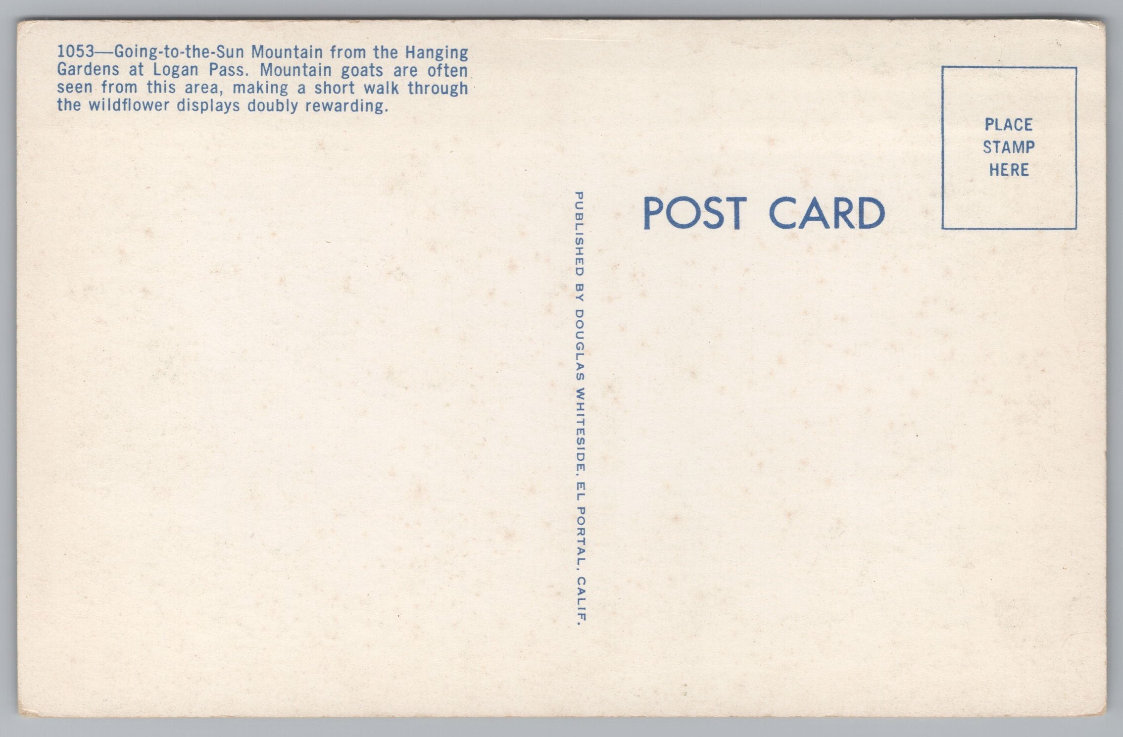 Sun Mountains, Hanging Gardens, Logan Pass, Vintage Post Card