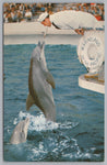 Marineland The Pacific, Palos Verdes, Southern California, PC