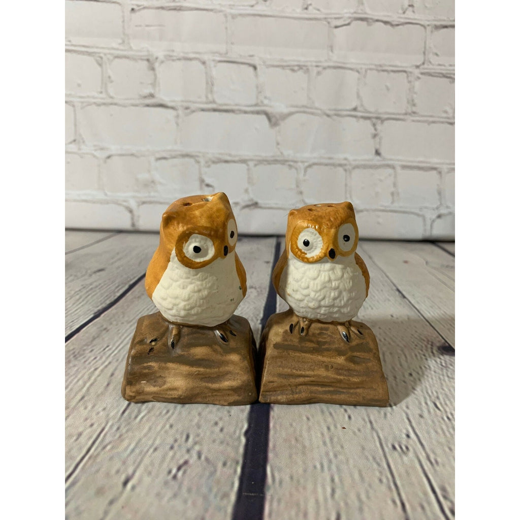 Vintage Ceramic Owls on a Tree Branch Salt & Pepper Shakers- Taiwan 1970’s