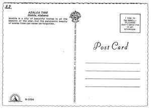 Azalea Time, Mobile, Alabama, Vintage Post Card