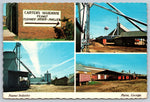 The Peanut Industry, Plains, Georgia, Vintage Post Card