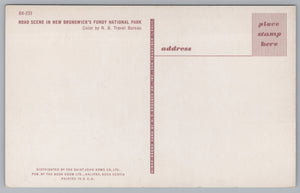 New Brunswick’s Fundy National Park, Vintage Post Card.