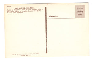 Gull Greeting, Fishing Nova Scotia, Vintage Post Card