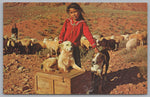 Proud Navajo Girl With Her Sheepdog, Vintage Post Card.
