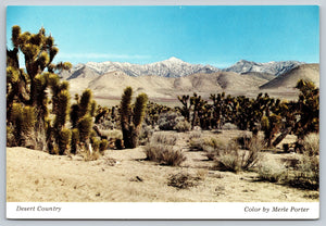 Desert Country, Colorado Desert , Vintage Post Card