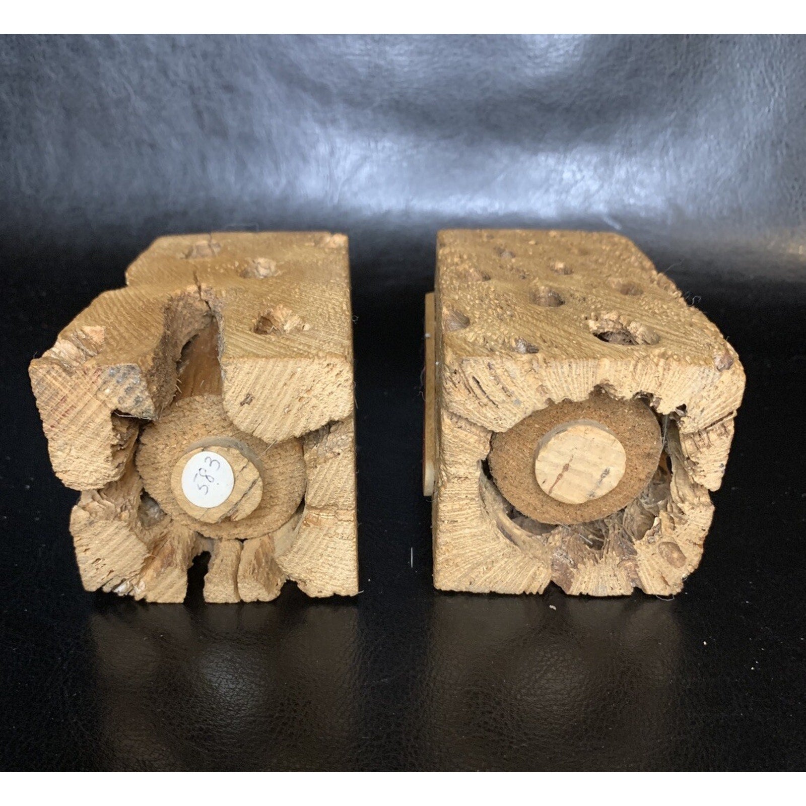 Vintage Cholla Cactus Square Salt & Pepper Shakers Wood