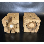 Vintage Cholla Cactus Square Salt & Pepper Shakers Wood