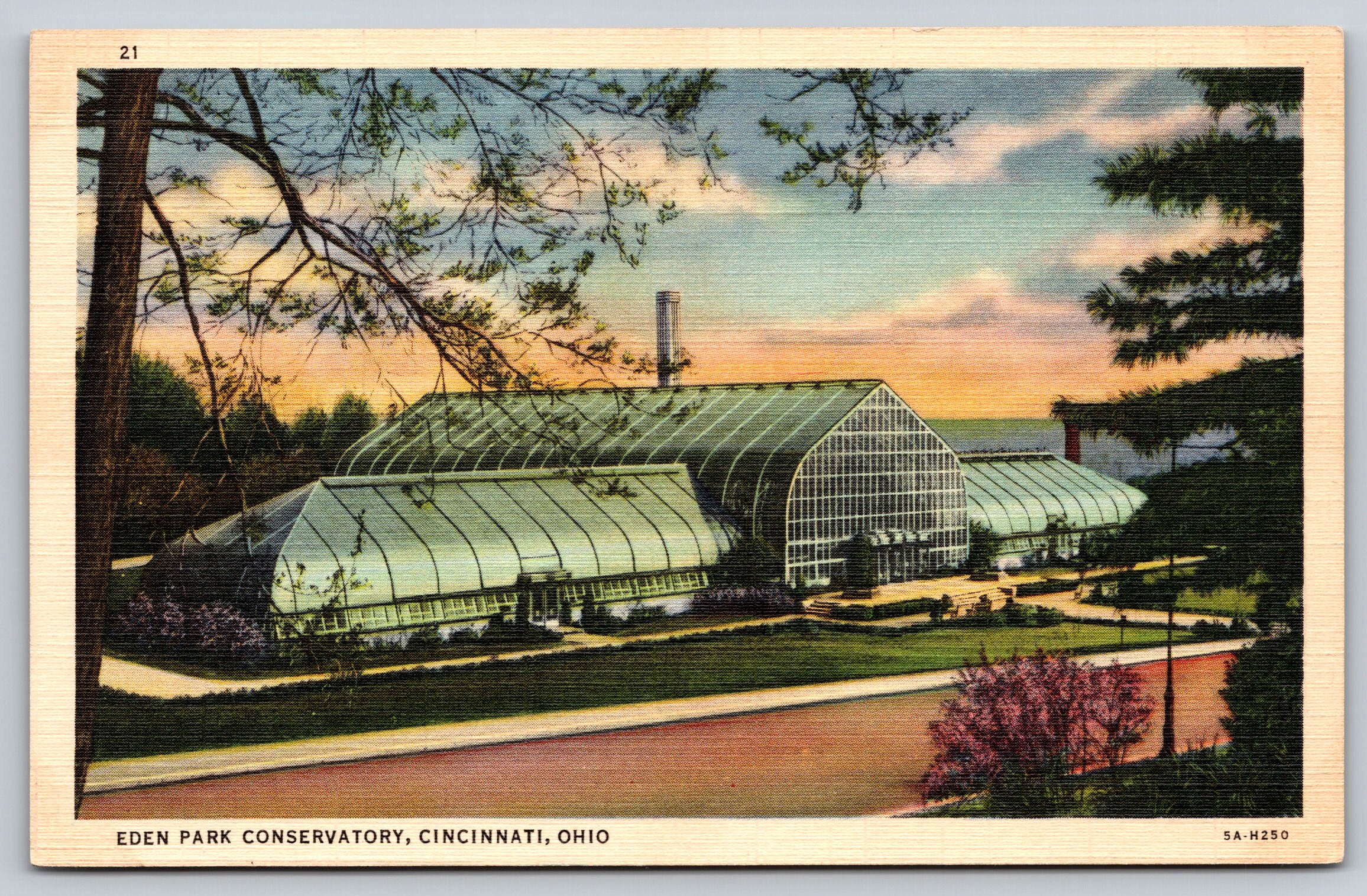 Eden Park Conservatory, Cincinnati, Ohio, USA, Vintage Post Card