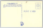 Seal, National Zoological Park, Washington DC, Vintage Post Card