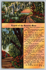 Short Story of The Legend ofThe Spanish Moss, Vintage Post Card