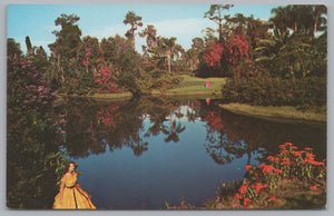 Blossom Time, Tropical Blossoms, Fairyland Of Flowers, Florida, USA, Vintage Post Card
