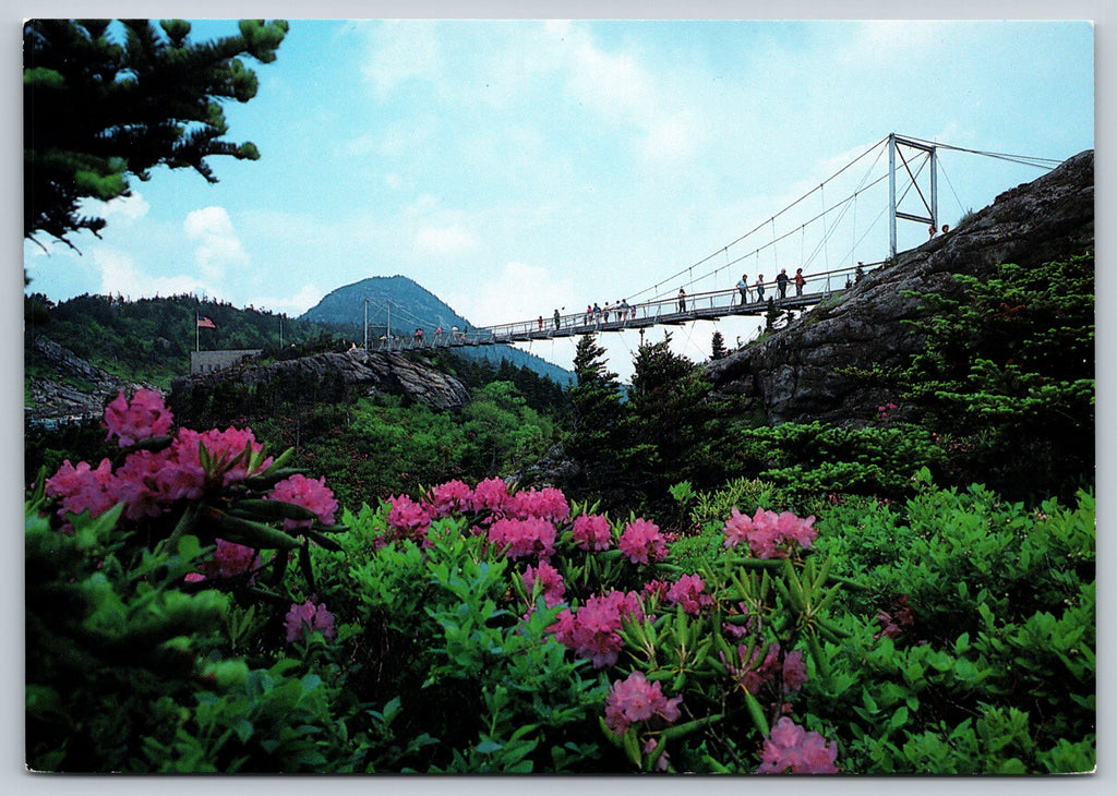 Mile High Swinging Bridge, North Carolina, Vintage Post Card