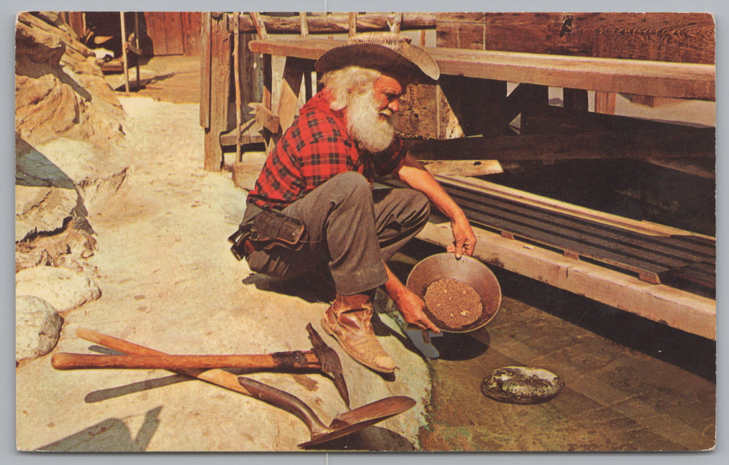 Prospector Panning Gold, Knott’s Berry Farm & Ghost Town, Buena Park, CA VTG PC