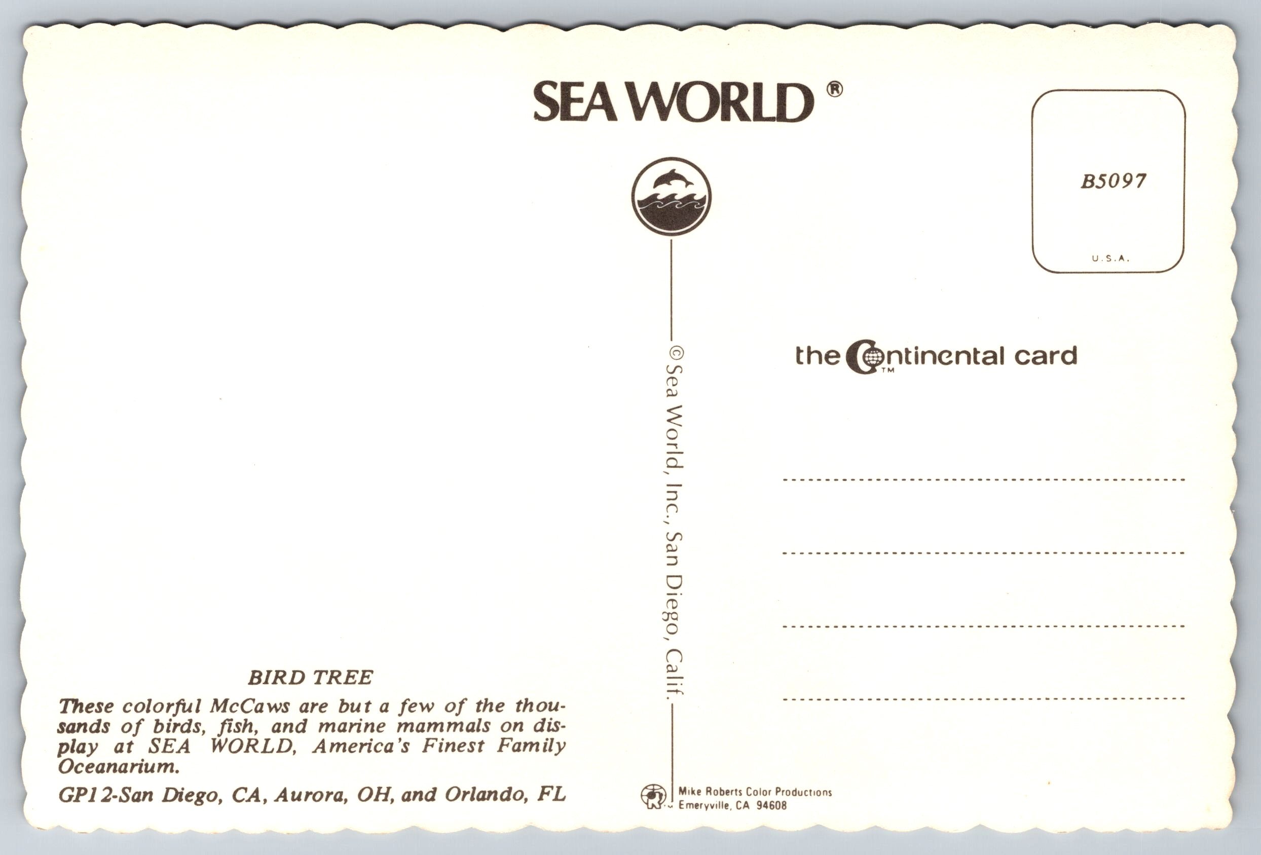 The Bird Tree, Sea World, Florida, Vintage Post Card