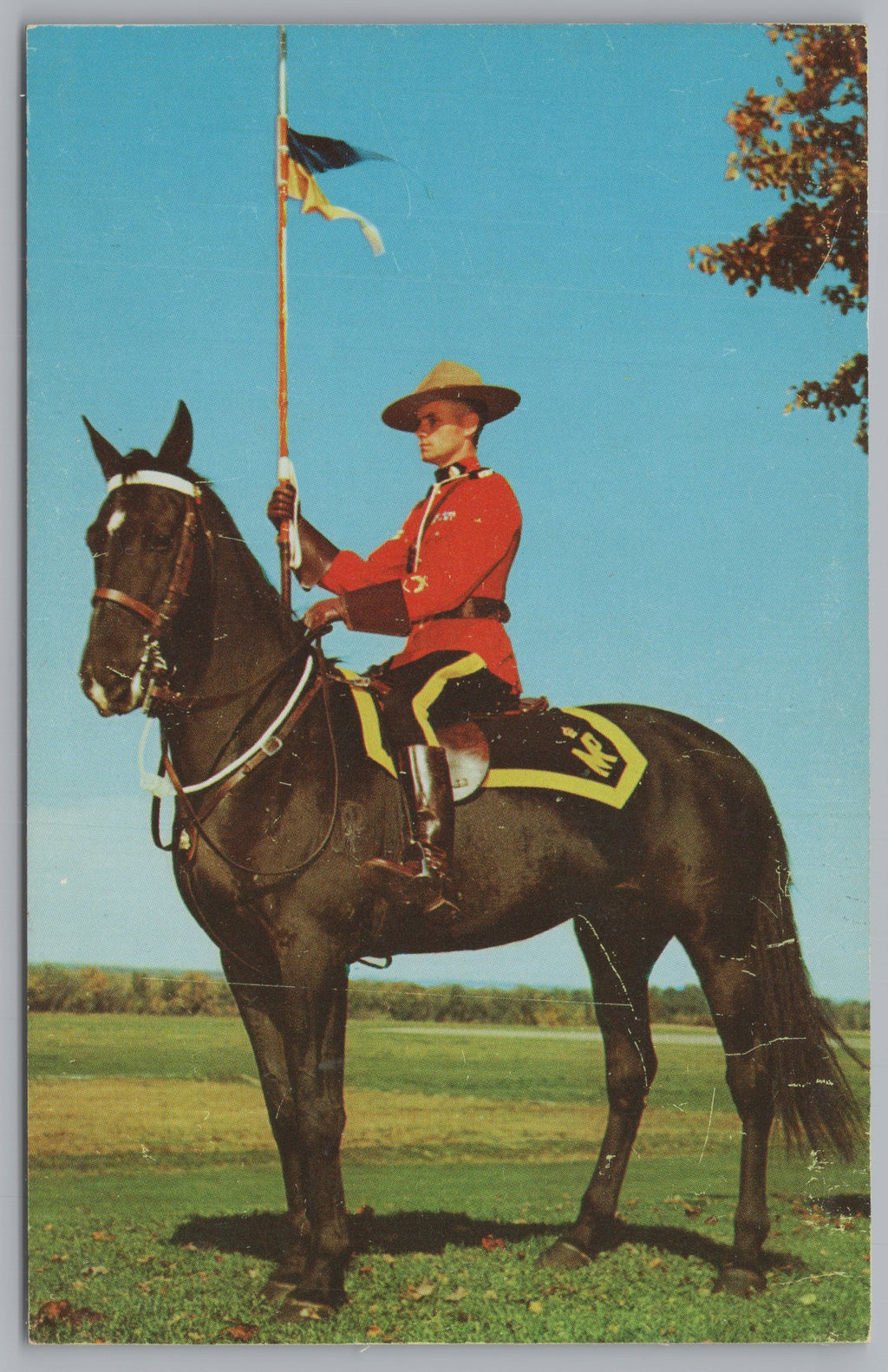 The Royal Canadian Mounted Policeman, Ontario, Canada,VTG PC